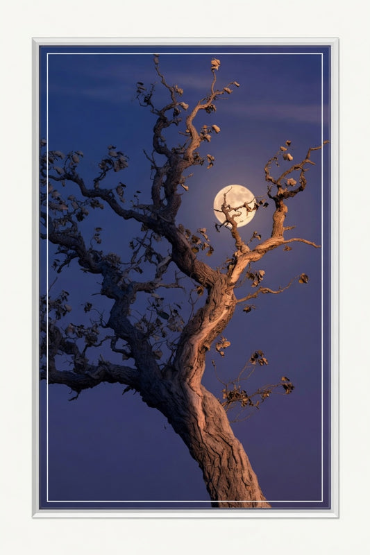 Moonlit Sentinel
